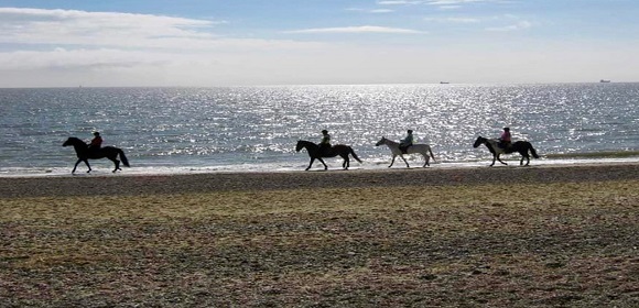 Top 5 Coastal Riding Escapes In The UK